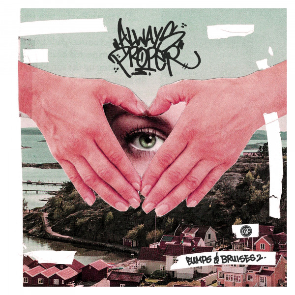 ALWAYS PROPER - BUMPS & BRUISES 02 cover art