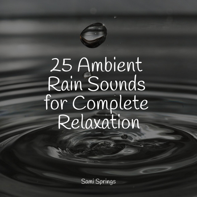 25 Ambient Rain Sounds for Complete Relaxation - Album by Sleep Sounds ...