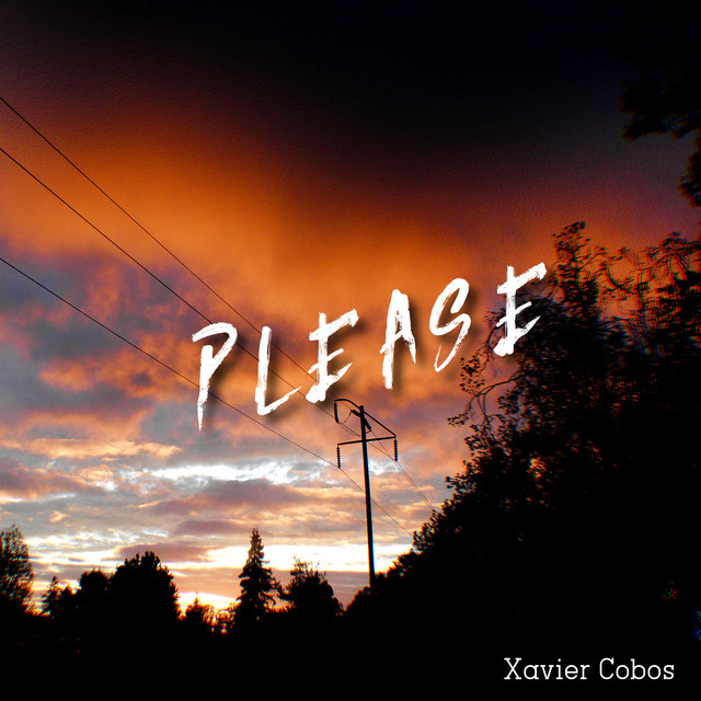 Please - Single by Xavier Cobos | Spotify