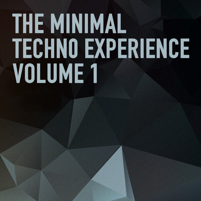 The Minimal Techno Experience cover art