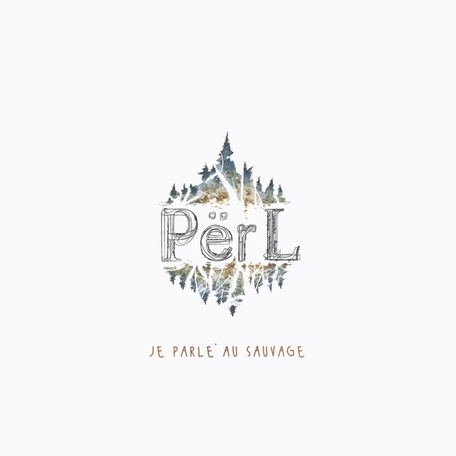 Je parle au sauvage (single)