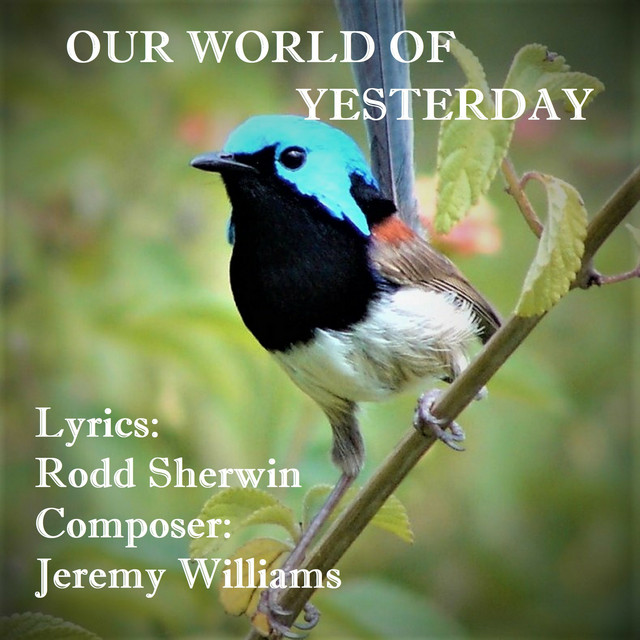 Our World of Yesterday - Single by Rodd Sherwin | Spotify
