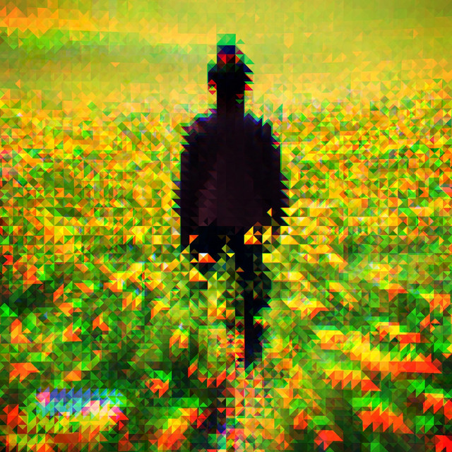 paladin cover art