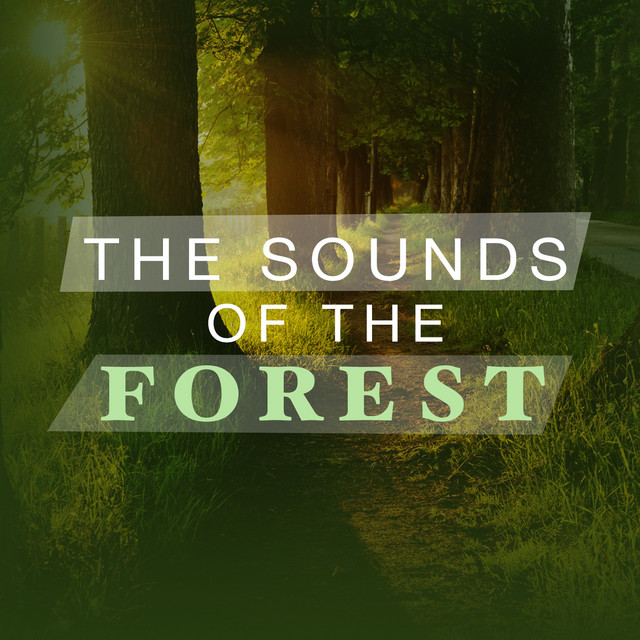 The Sounds of the Forest cover art