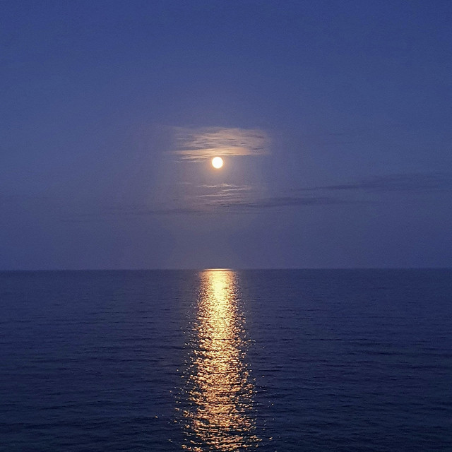 Moonlight cover art