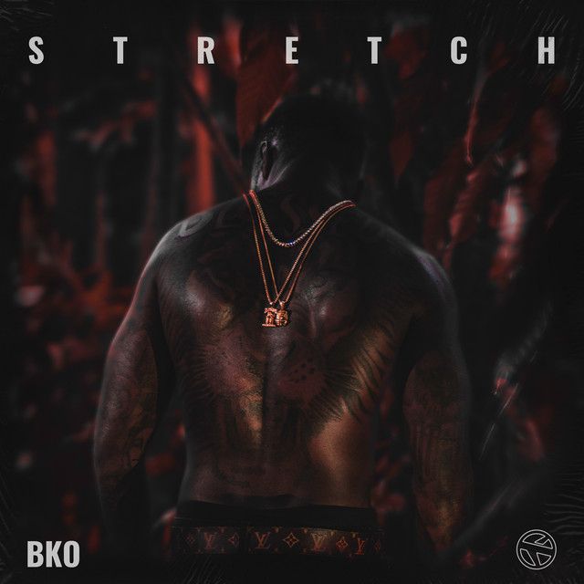 Stretch cover art