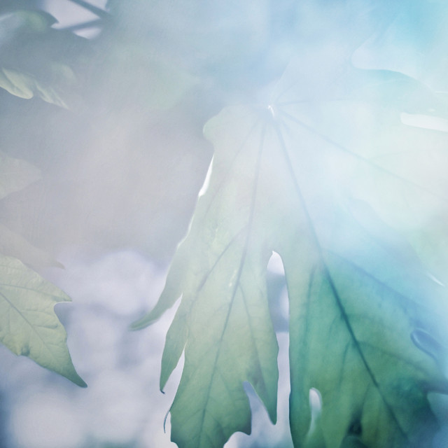 Weightless cover art