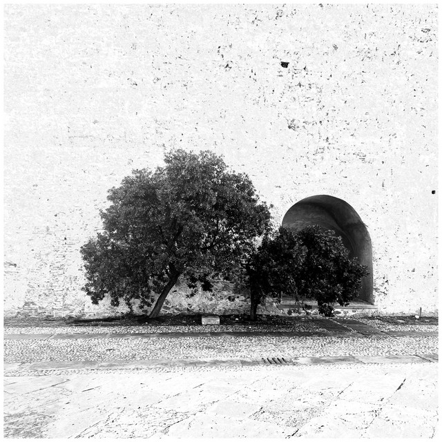 The Circular cover