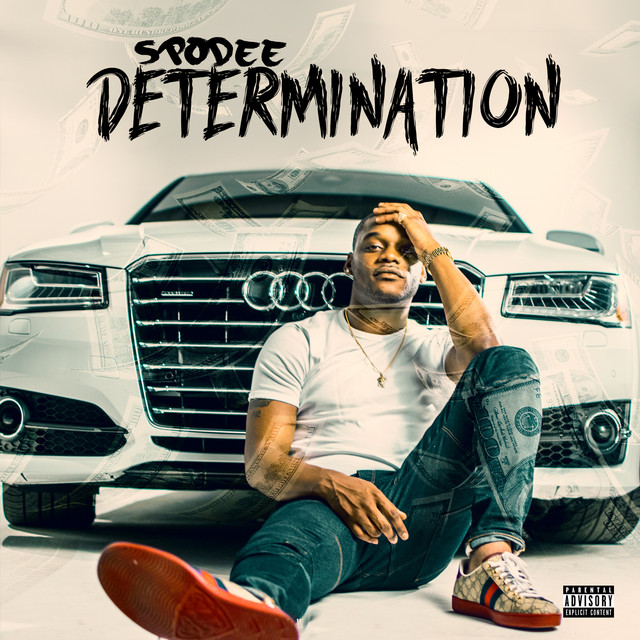 Determination cover art