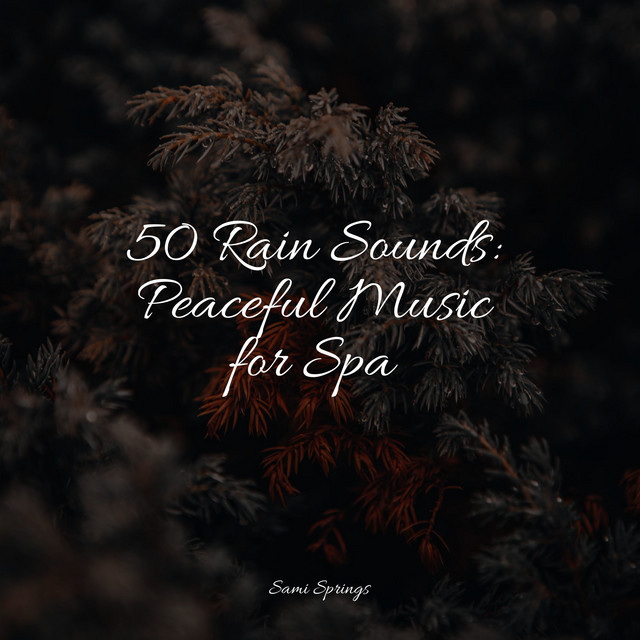 50 Rain Sounds: Peaceful Music for Spa - Album by Baby Sleep Lullaby ...
