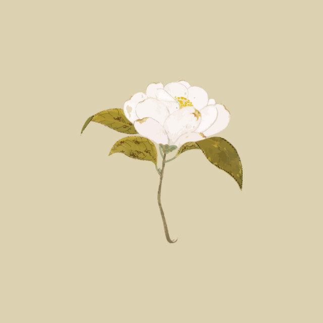 Ghost cover art