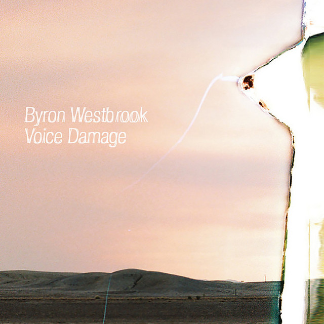Voice Damage cover art