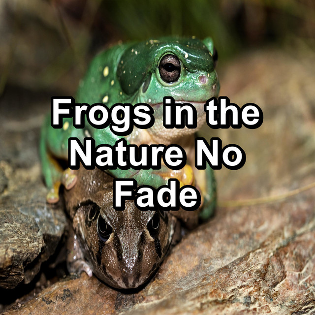 Frogs in the Nature No Fade cover art