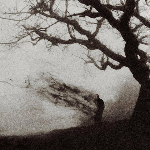 glimpse into you cover art