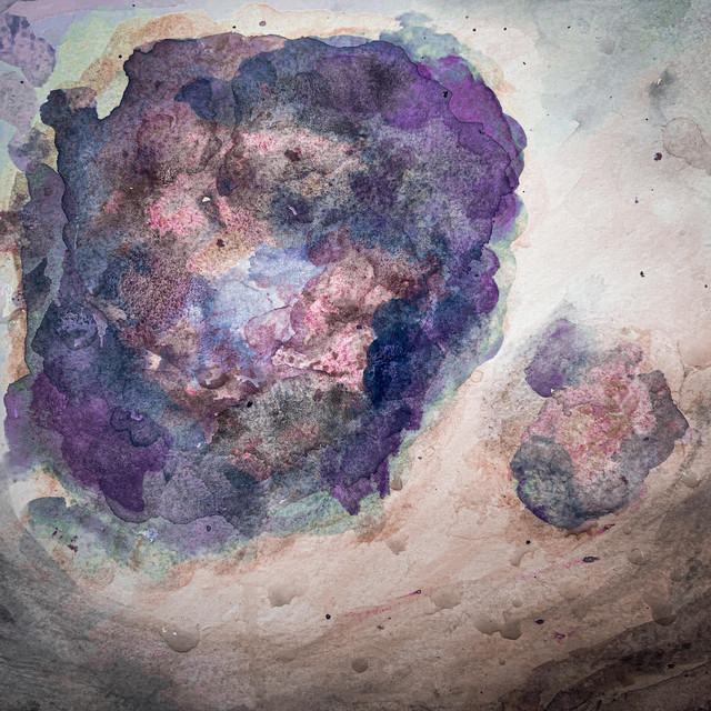 bruises cover art
