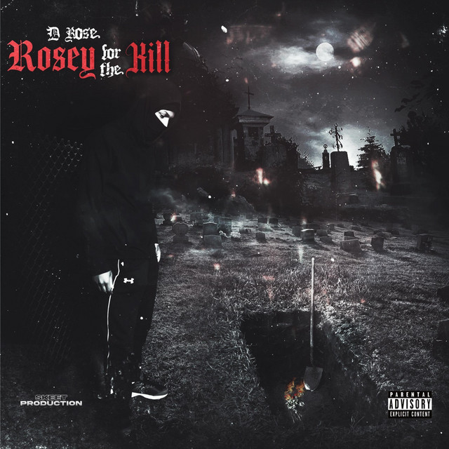 Shootin Hoops cover art