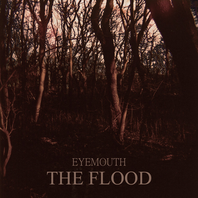 The Flood cover