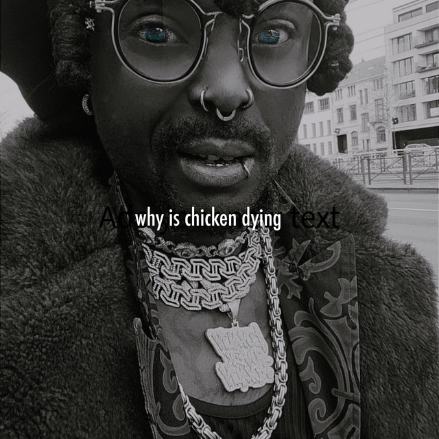 Skyboy street master – why is chicken dying