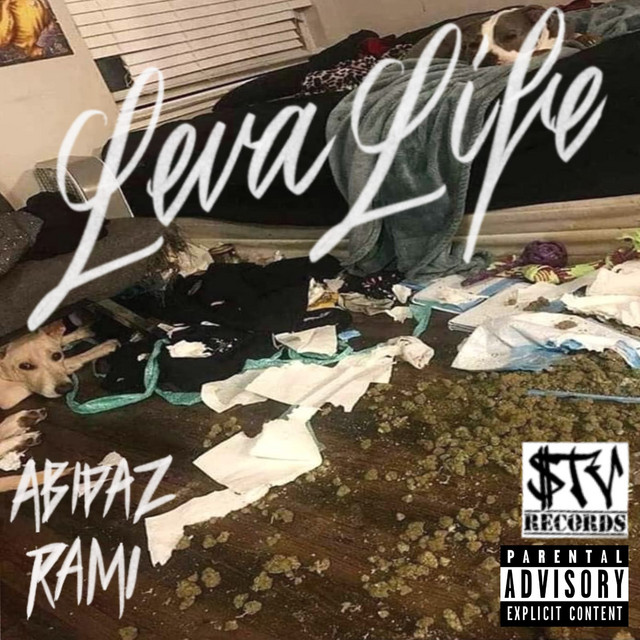 Leva Life cover