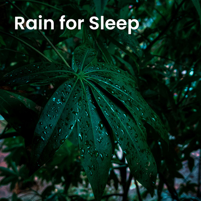 Rain for Sleep