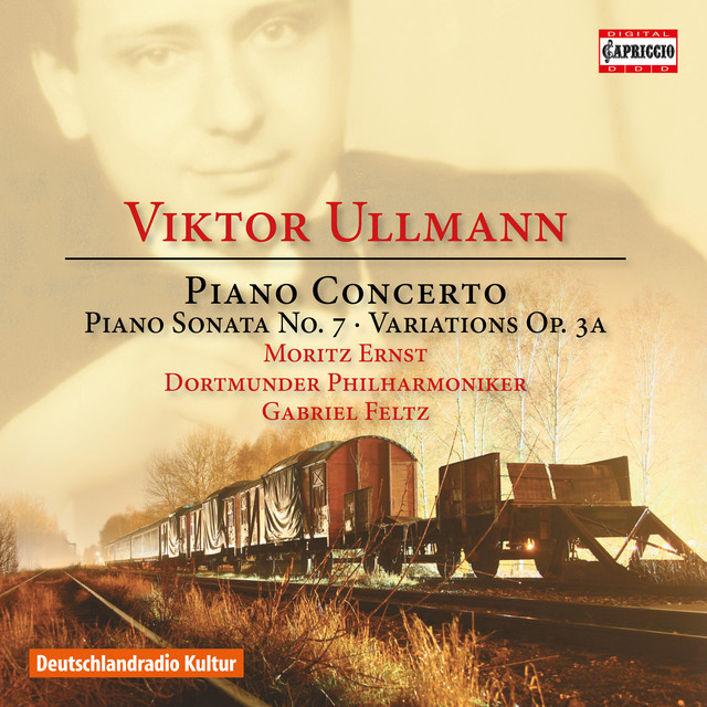 Piano Concerto, Op. 25: II. Andante tranquillo