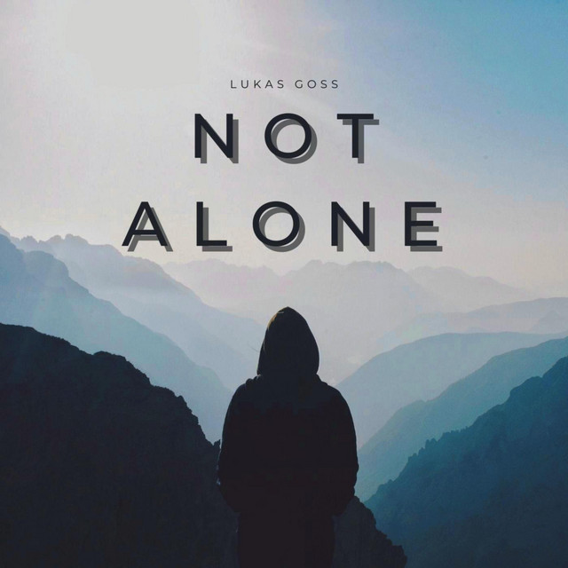 Not Alone cover art