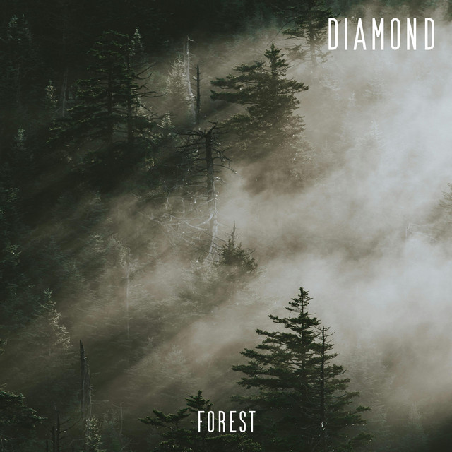 Forest cover art