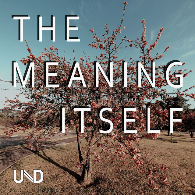 The Meaning Itself