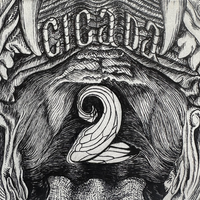 CICADA 2 cover art