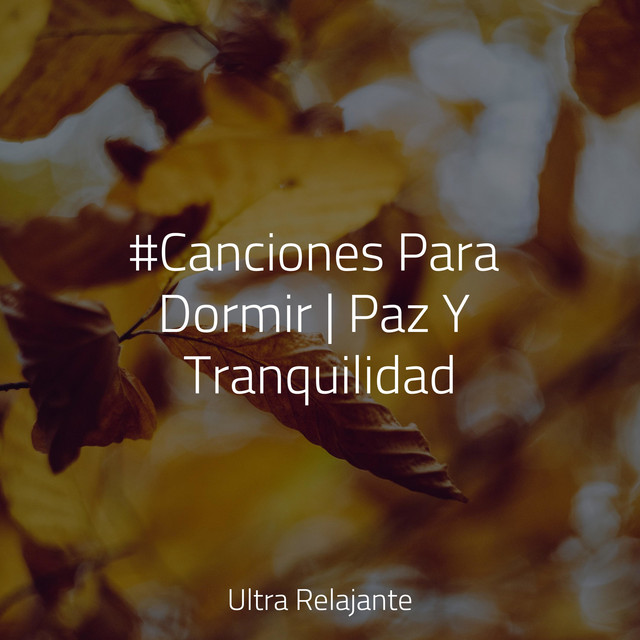 #Canciones Para Dormir | Paz Y Tranquilidad - Album by Musica para ...