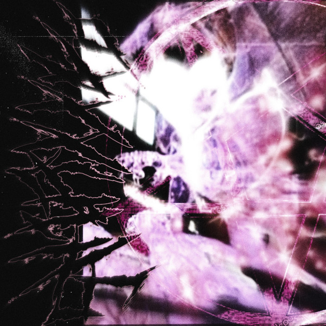SHIRXXKO cover art