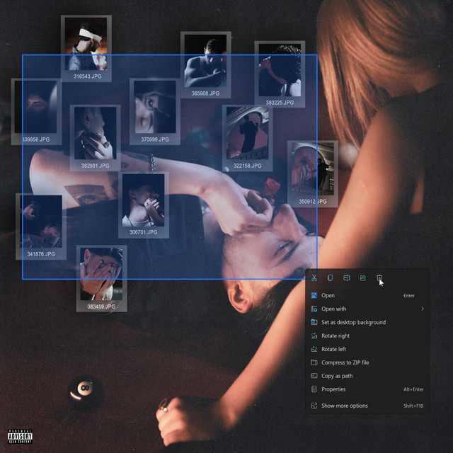 Cover of DIGE NA