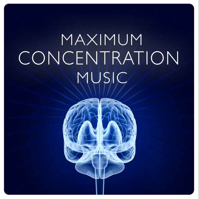 Maximum Concentration Music cover art