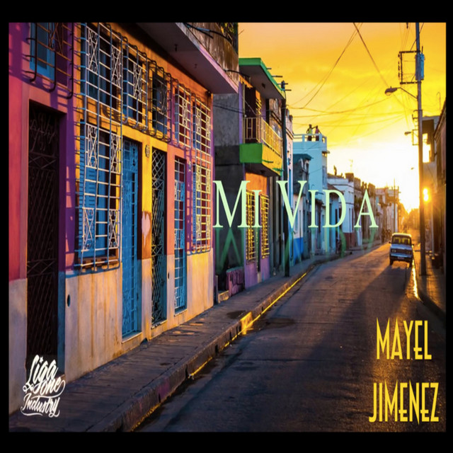 Mi Vida cover art