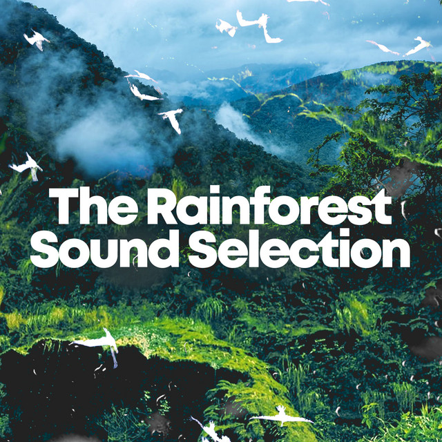 The Rainforest Sound Selection ! ! ! ! - Album by Rainforest | Spotify