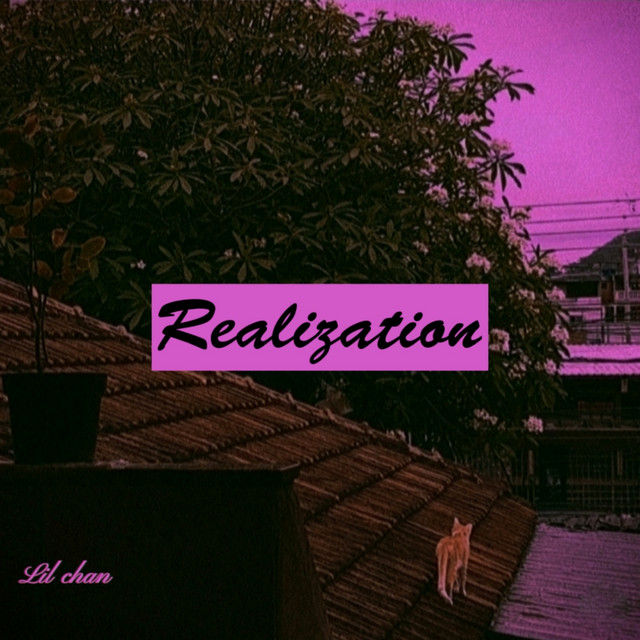 Realization cover art