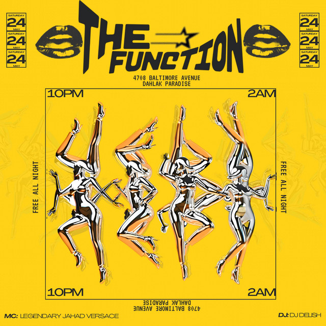 THA FUNCTION cover art