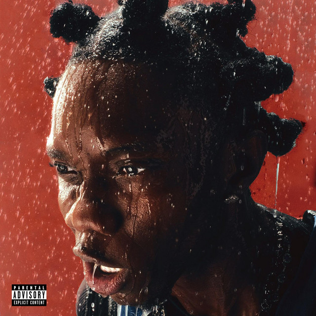 undefined album image