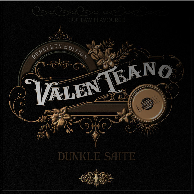 Dunkle Saite (Rebellen Edition) cover