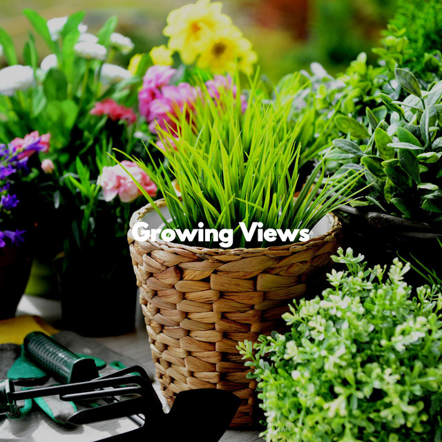Growing Views cover art