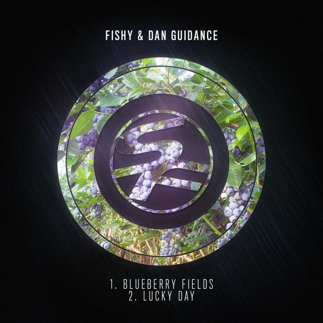 Blueberry Fields - Original Mix artwork
