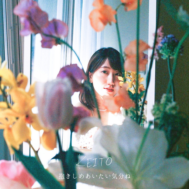 Dakishimeaitai Kibun ne cover