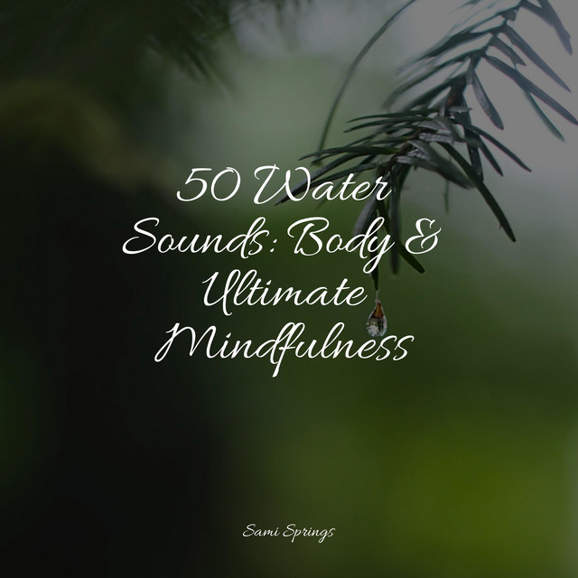 50 Water Sounds: Body & Ultimate Mindfulness - Album by Big Sounds ...