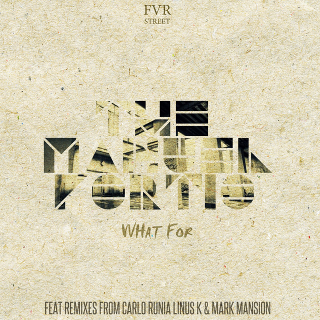 What For - Original Mix cover art