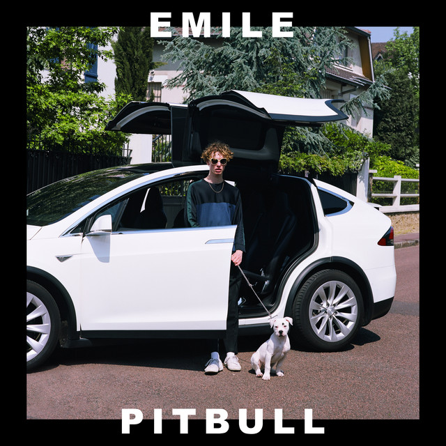 Album cover for Pitbull by EMILE