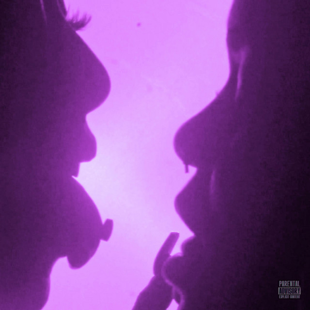 Party album image