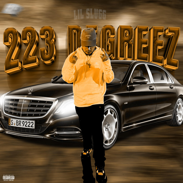 223 Degreez cover art