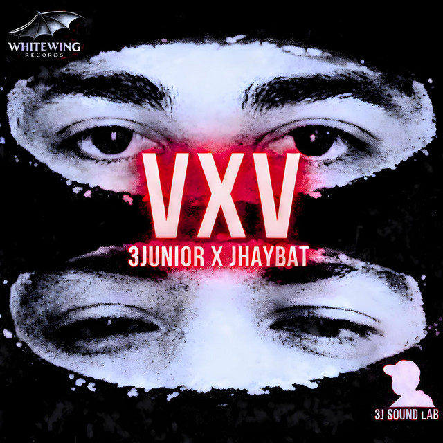VxV cover art