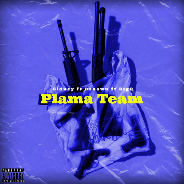Plama Team