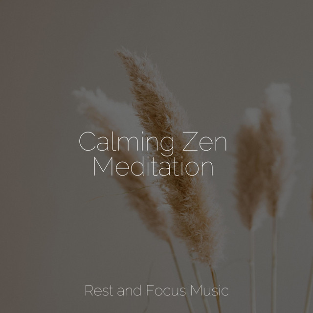 Soft Melodies | Peaceful Sleep - Album by Musica Reiki | Spotify